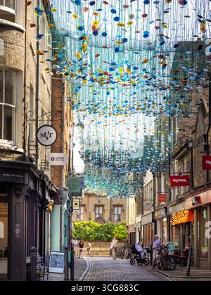 Green Street, Cambridge City Centre, England, UK Stock Photo