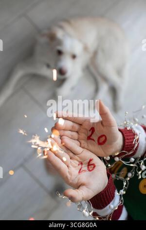 Child's palms with numbers of new year 2026 written on them and a burning sparkler next to funny white dog. Celebrate Christmas with your favorite pet Stock Photo