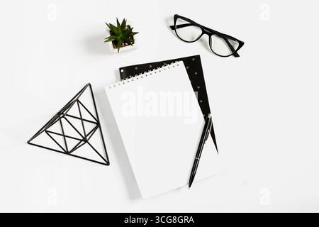 Notebook, pen, eye glasses, plant on a white background. Flat lay, top view, copy space. Workplace with space for text Stock Photo