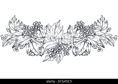 Vector composition of viburnum berries, viburnum leaves, shrub branches. All objects are hand-drawn with ink. Illustration is suitable for printing on Stock Vector