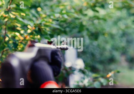 Rifle scope. Optical sight on weapon close-up. Concept of danger, target, terrorism. Blurred background. Stock Photo