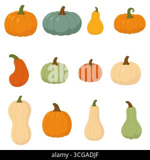 Various pumpkin and squash types in flat style with green orange and beige colors for autumn design and seasonal decoration Stock Vector