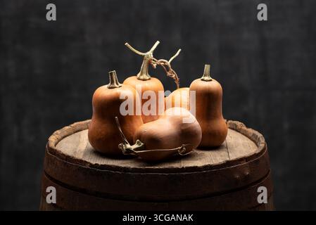 Honeynut Mini Pumpkins Displayed on a Vintage Wooden Barrel Against a Dark Background Stock Photo