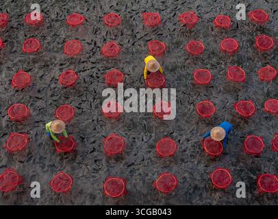 Unidentified fishermen arranging colourful fish nets Stock Photo
