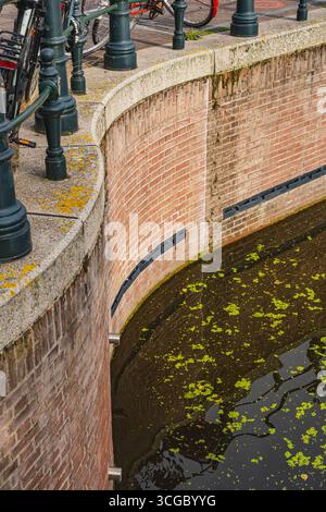 Curved brick canal wall with railing, bikes, and water covered in leaves and green algae Stock Photo