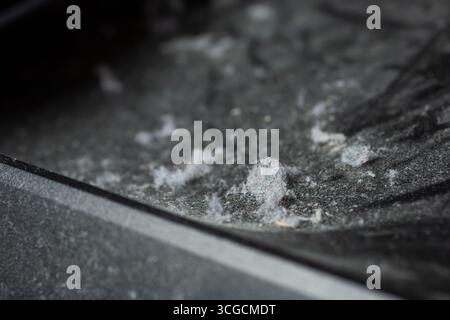 A closeup view of dust bunnies on a black plastic surface. Stock Photo