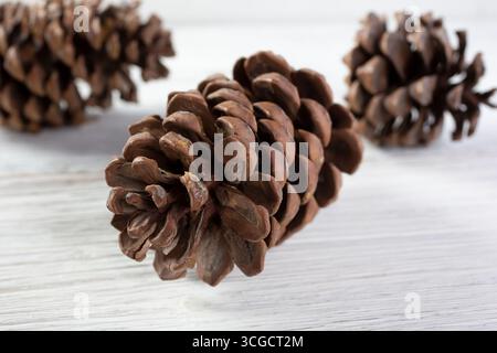A view of three pine cones on a rustic wooden surface. Stock Photo