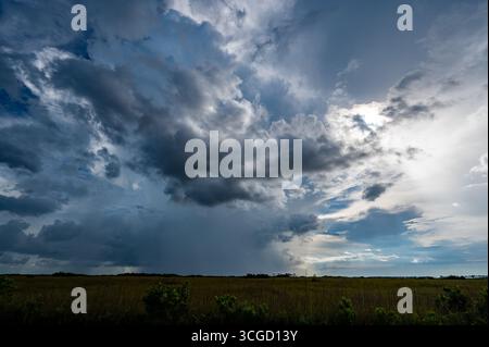 Summer storm clouds forming over sawgrass prairie in everglades National Park, Florida. Stock Photo