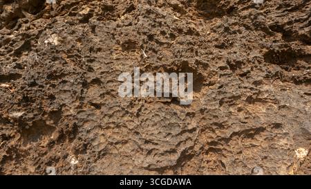 Detailed close-up of a rugged, weathered brown rock surface, showcasing its porous texture and intricate natural patterns. Ideal for earthy background Stock Photo