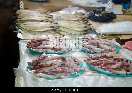 Close view of plastic trays piled with fresh squid at Daejeong Five‑Day Market, with rows of butterflied fish drying on foil in the background. Stock Photo