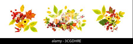 Set of Autumn Floral and Leaf Arrangements on White Background Stock Photo