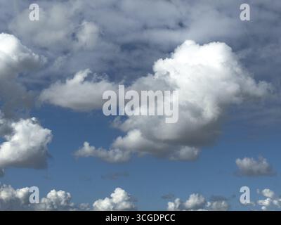 Cumulus clouds at the bottom edge of the image, large white cumulonimbus cluster cloud towering in the centre of the image, altocumulus above, interna Stock Photo