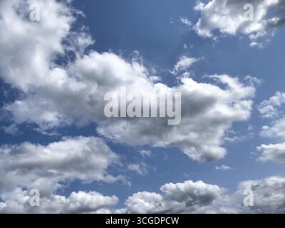 Many altocumulus clouds Cluster clouds white clouds with fibrous edges in front of blue sky, international Stock Photo