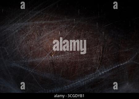 Close up view of spider web on dark wooden background, abstract natural texture for Halloween, mystery and spooky design concepts Stock Photo