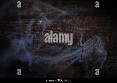 Close up view of spider web on dark wooden background, abstract natural texture for Halloween, mystery and spooky design concepts Stock Photo