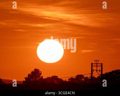 The setting sun over Beadnell beach in Northumberland, UK with birds flying past Stock Photo