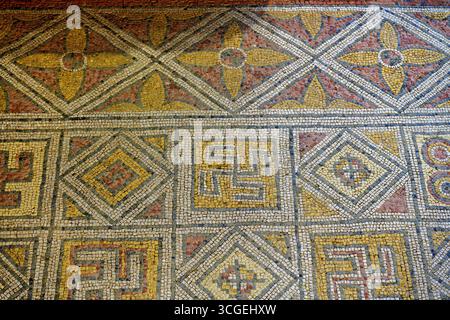 Detailed Roman mosaic with floral and geometric patterns in an ...