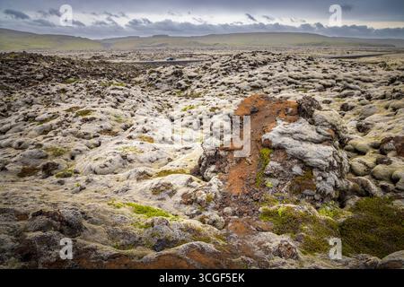 Moss covered lava fields at Gonguleid um Eldhraun, Iceland Stock Photo