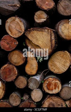 A close-up detail of a stack of wooden logs, showing various textures and colors. The cut of the logs reveals the growth rings and wood grain Stock Photo