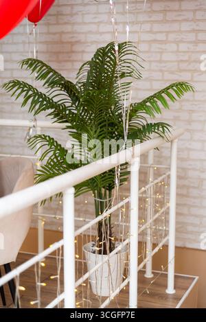 A lush tropical plant enhances a cozy indoor setting. fairy lights and red balloons add a festive touch against a rustic brick wall, creating a warm a Stock Photo