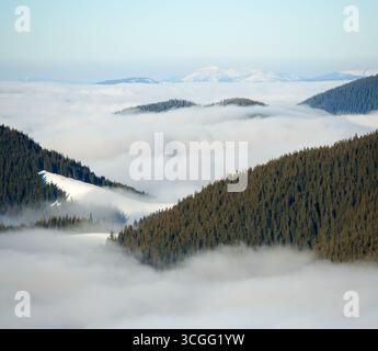 Mountain landscape with rolling hills covered in dense pine forests. Valleys filled with thick layer of mist, creating serene atmosphere. Snow-capped peaks rise in distance under clear blue sky. Stock Photo
