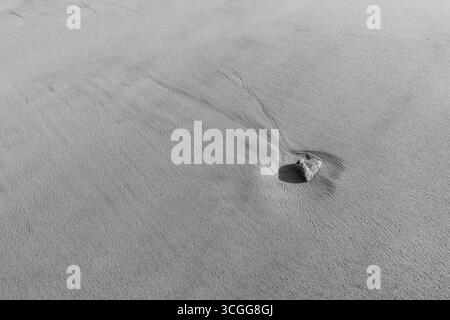 single stone resting on smooth sand, surrounded by fine erosion lines created by wind and water Stock Photo