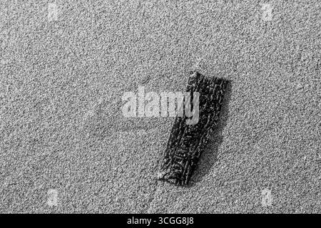 Piece of hardened seaweed resting on fine sand in black and white Stock Photo