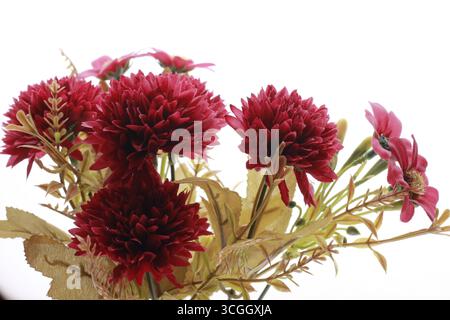 A bunch of red artificial flowers on a white background. Stock Photo