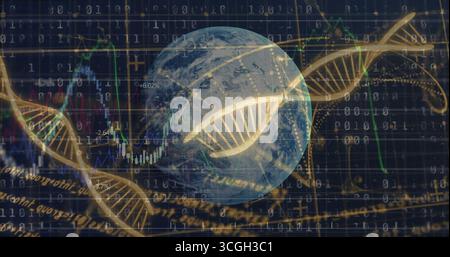 Blending Earth globe and DNA helix in digital data space, with binary code and line charts Stock Photo