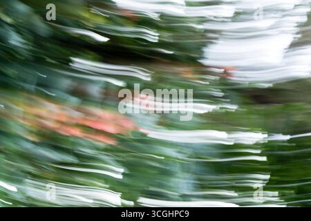 Abstract background of multi colors wave lines Stock Photo