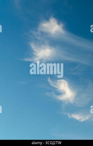 Cirrus clouds stretch across the deep blue sky, vertical format. Stock Photo