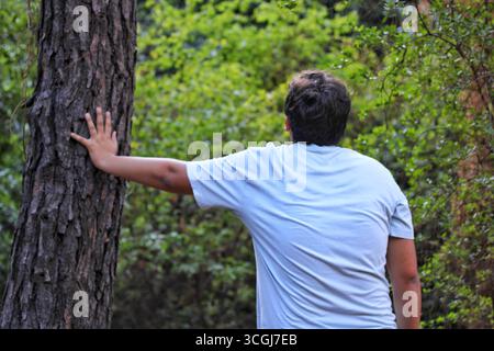Back view of a person touching a tree trunk in a forest. Symbol of mindfulness, wellness, eco tourism, and human connection with nature. Stock Photo