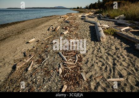 WA28577-00...WASHINGTON - Sicks and logs on beach on the west side of Fisherman Bay of  Lopez Island. Stock Photo
