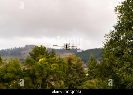 Drone flying in forest, beautiful landscape- Dron volando en bosque, lindo paisaje Stock Photo