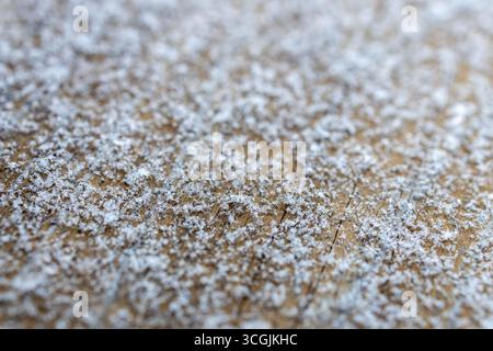 Defocused macro abstract texture background of a fine layer of fresh white snow on a wooden deck surface Stock Photo