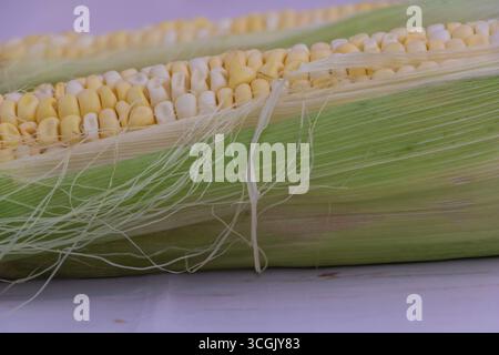 Fresh corn on the cob with husk and silk fibers closeup. Stock Photo