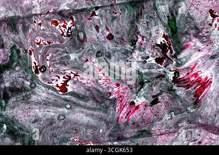 Abstract texture background. Different shades of gray, red, green, white. Small details, different textures, blur. Colors mix with each other, forming Stock Photo
