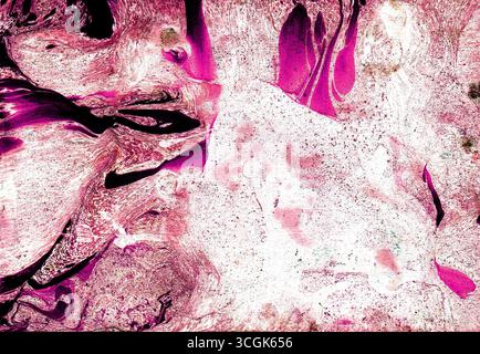 Background of marble effects, spots, textures. Different shades of purple, pink, peach color, black on white. Spots are located in left and upper part Stock Photo