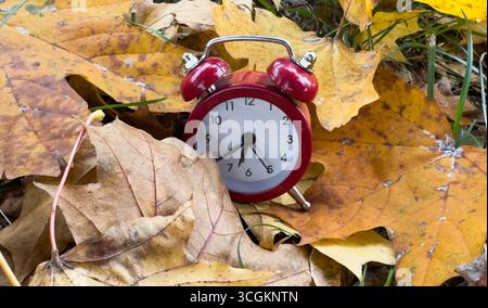 Alarm clock in colorful autumn leaves isolated against a white background with light shadow and shallow depth of field. Daylight savings time concept. Stock Photo