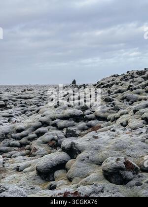 The huge lava field Eldhraun is covered with thick moss Stock Photo