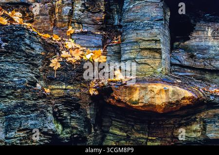 Rock face with beautiful colors and autumn leaves on a mountain Stock Photo