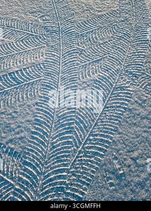 Tire marks on snow. Tire imprints in fresh snow,with tree-like tread pattern. Snow-covered surface with tire marks in rays of morning sun. Stock Photo