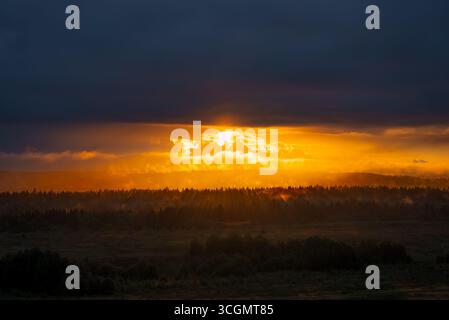 Golden sunlight streaming through a break in dark clouds, illuminating a lush forest and expansive field, creates a breathtaking and dramatic landscape at dawn Stock Photo