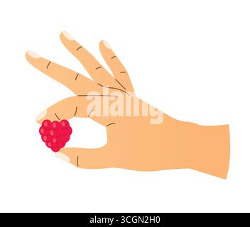 hand holding raspberry fruit- vector illustration Stock Vector