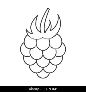 raspberry outline icon - vector illustration Stock Vector