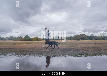 London, UK. 29 August 2025. A man walks a dog past a flooded area on   Wimbledon Common, south west London  after a heavy  downpour this morning. The met office has issued a yellow warning or rain across parts parts of  England as hurricane Erin moves in from the Atlantic Credit Amer Ghazzal/Alamy Live News Stock Photo