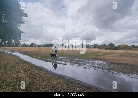 London, UK. 29 August 2025. A man walks a dog past a flooded area on   Wimbledon Common, south west London  after a heavy  downpour this morning. The met office has issued a yellow warning or rain across parts parts of  England as hurricane Erin moves in from the Atlantic Credit Amer Ghazzal/Alamy Live News Stock Photo