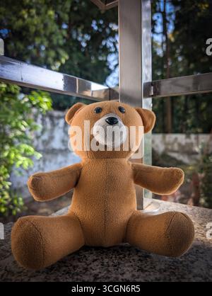 A cute teddy bear sitting on a stone surface with greenery in the background Stock Photo