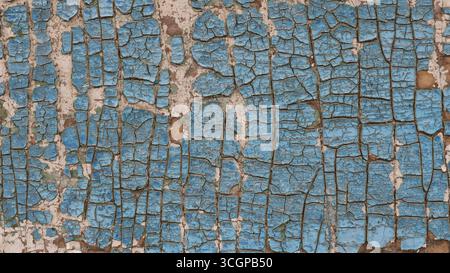 Background of a painted wall or fence with cracked blue paint, dry old peeling paint on a wooden surface as a background abstraction Stock Photo
