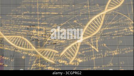 Floating golden DNA double helix strands over data grid with code snippets, line graph percentages Stock Photo